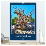 Baumcharaktere (hochwertiger Premium Wandkalender 2024 DIN A2 hoch), Kunstdruck in Hochglanz