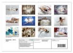 Farbspiele - Akt in Weiß (hochwertiger Premium Wandkalender 2024 DIN A2 quer), Kunstdruck in Hochglanz