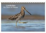 Limikolen - Ein Leben am Wasser (Tischkalender 2024 DIN A5 quer), CALVENDO Monatskalender