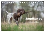 Jagdhunde bei der Arbeit (Tischkalender 2024 DIN A5 quer), CALVENDO Monatskalender