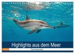 Highlights aus dem Meer - Tauchkalender (Wandkalender 2024 DIN A4 quer), CALVENDO Monatskalender