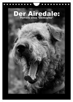 Der Airedale: Portraits eines 