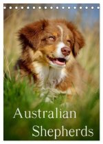 Australian Shepherds (Tischkalender 2024 DIN A5 hoch), CALVENDO Monatskalender