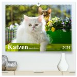 Katzen im Grünen (hochwertiger Premium Wandkalender 2024 DIN A2 quer), Kunstdruck in Hochglanz