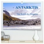 Antarktis - Das Reich der Pinguine (hochwertiger Premium Wandkalender 2024 DIN A2 quer), Kunstdruck in Hochglanz