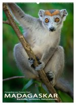 MADAGASKAR: Baobabs, Lemuren, Naturwunder (Wandkalender 2024 DIN A2 hoch), CALVENDO Monatskalender