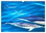 Natürlich Delfine (Wandkalender 2024 DIN A3 quer), CALVENDO Monatskalender