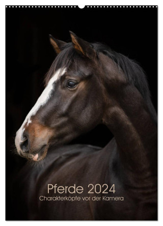 Pferde 2024 - Charakterköpfe vor der Kamera (Wandkalender 2024 DIN A2 hoch), CALVENDO Monatskalender