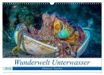 Wunderwelt Unterwasser (Wandkalender 2024 DIN A3 quer), CALVENDO Monatskalender