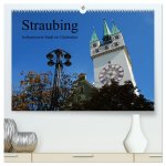 Straubing, liebenswerte Stadt im Gäuboden (hochwertiger Premium Wandkalender 2024 DIN A2 quer), Kunstdruck in Hochglanz