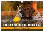 Deutscher Boxer - Boxer im Wasser 2024 (Wandkalender 2024 DIN A4 quer), CALVENDO Monatskalender