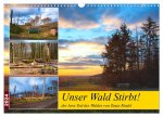 Unser Wald Stirbt (Wandkalender 2024 DIN A3 quer), CALVENDO Monatskalender