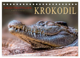 Urzeitreptilien - Krokodil (Tischkalender 2024 DIN A5 quer), CALVENDO Monatskalender