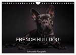 French Bulldog (Wandkalender 2024 DIN A4 quer), CALVENDO Monatskalender