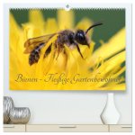 Bienen - Fleißige Gartenbewohner (hochwertiger Premium Wandkalender 2024 DIN A2 quer), Kunstdruck in Hochglanz