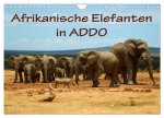 Afrikanische Elefanten in ADDO (Wandkalender 2024 DIN A4 quer), CALVENDO Monatskalender