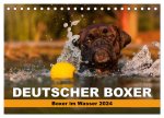 Deutscher Boxer - Boxer im Wasser 2024 (Tischkalender 2024 DIN A5 quer), CALVENDO Monatskalender