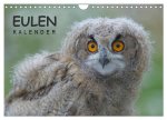 Eulen-Kalender (Wandkalender 2024 DIN A4 quer), CALVENDO Monatskalender