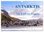Antarktis - Das Reich der Pinguine (Wandkalender 2024 DIN A3 quer), CALVENDO Monatskalender