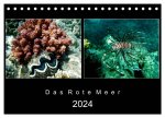 Das Rote Meer - 2024 (Tischkalender 2024 DIN A5 quer), CALVENDO Monatskalender