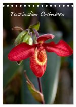 Faszination Orchideen (Tischkalender 2024 DIN A5 hoch), CALVENDO Monatskalender