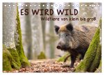 ES WIRD WILD Wildtiere von klein bis groß (Tischkalender 2024 DIN A5 quer), CALVENDO Monatskalender