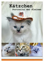Kätzchen - Portraits der Kleinen (Tischkalender 2024 DIN A5 hoch), CALVENDO Monatskalender