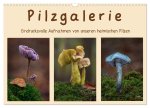 Pilzgalerie - Eindrucksvolle Aufnahmen von unseren heimischen Pilzen (Wandkalender 2024 DIN A3 quer), CALVENDO Monatskalender
