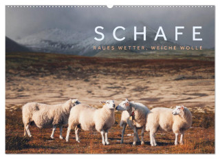 Schafe - Raues Wetter, weiche Wolle (Wandkalender 2024 DIN A2 quer), CALVENDO Monatskalender