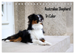 Australian Shepherd Tri Color (Tischkalender 2024 DIN A5 quer), CALVENDO Monatskalender