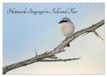 Heimische Singvögel in Feld und Flur (Tischkalender 2024 DIN A5 quer), CALVENDO Monatskalender
