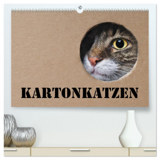 Karton Katzen (hochwertiger Premium Wandkalender 2024 DIN A2 quer), Kunstdruck in Hochglanz