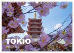 Tokio Kalender mit historischen Tempeln und Schreinen (Wandkalender 2024 DIN A3 quer), CALVENDO Monatskalender