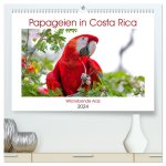 Papageien in Costa Rica (hochwertiger Premium Wandkalender 2024 DIN A2 quer), Kunstdruck in Hochglanz