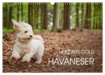 Havaneser - Herz aus Gold (Wandkalender 2024 DIN A3 quer), CALVENDO Monatskalender