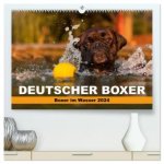 Deutscher Boxer - Boxer im Wasser 2024 (hochwertiger Premium Wandkalender 2024 DIN A2 quer), Kunstdruck in Hochglanz