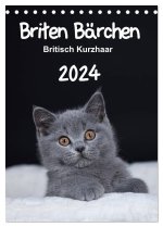 Briten Bärchen - Britisch Kurzhaar 2024 (Tischkalender 2024 DIN A5 hoch), CALVENDO Monatskalender