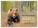 Magie des Augenblicks - Bären in nordischen Wäldern (Wandkalender 2024 DIN A2 quer), CALVENDO Monatskalender