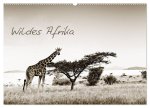 Wildes Afrika (Wandkalender 2024 DIN A2 quer), CALVENDO Monatskalender