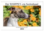 Der Whippet - ein Seelenhund (Wandkalender 2024 DIN A4 quer), CALVENDO Monatskalender
