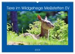 Tiere im Wildgehege Meßstetten EV (Wandkalender 2024 DIN A2 quer), CALVENDO Monatskalender