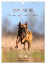 Malinois Power auf vier Pfoten (Wandkalender 2024 DIN A4 hoch), CALVENDO Monatskalender
