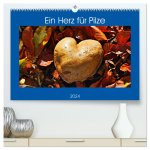 Ein Herz für Pilze (hochwertiger Premium Wandkalender 2024 DIN A2 quer), Kunstdruck in Hochglanz