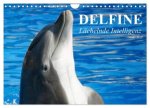 Delfine - Lächelnde Intelligenz (Wandkalender 2024 DIN A4 quer), CALVENDO Monatskalender
