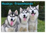 Huskys - Traumhunde (Wandkalender 2024 DIN A3 quer), CALVENDO Monatskalender