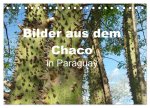 Bilder aus dem Chaco in Paraguay (Tischkalender 2024 DIN A5 quer), CALVENDO Monatskalender