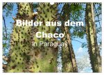 Bilder aus dem Chaco in Paraguay (Wandkalender 2024 DIN A3 quer), CALVENDO Monatskalender