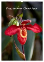 Faszination Orchideen (Wandkalender 2024 DIN A2 hoch), CALVENDO Monatskalender
