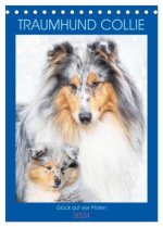 Traumhund Collie - Glück auf vier Pfoten (Tischkalender 2024 DIN A5 hoch), CALVENDO Monatskalender