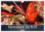 Bewohner im Riff (Wandkalender 2024 DIN A4 quer), CALVENDO Monatskalender